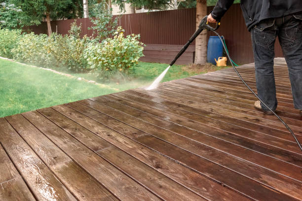 Best Pre-Holiday Cleaning  in Chebanse, IL